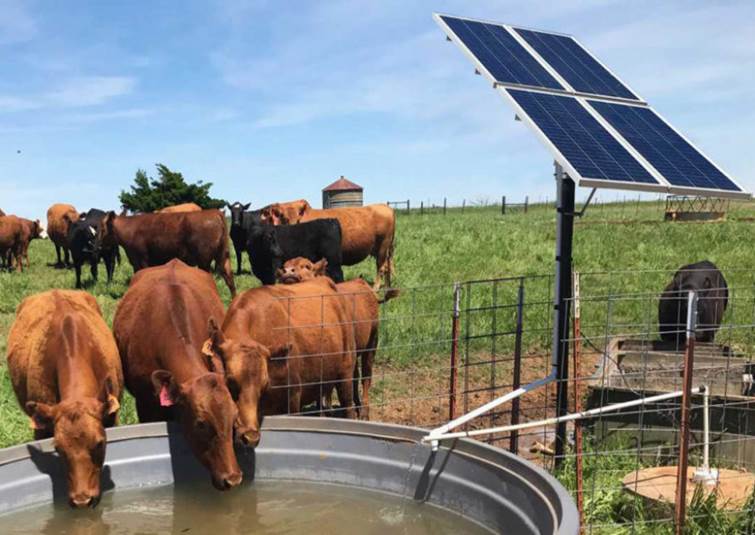 Solar Water Pumps For Livestock